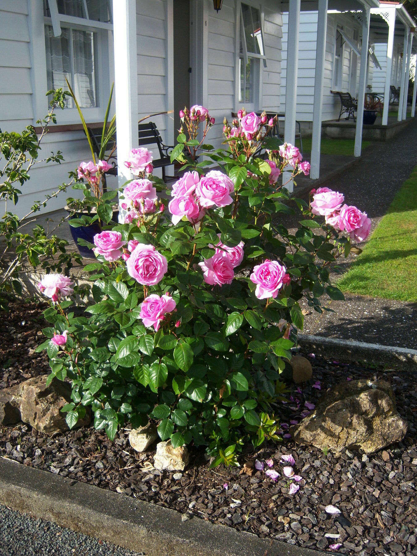 Coromandel Cottages Exterior foto
